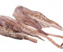 CUTTLEFISH tentacles MOROCCO KG APPROX 3X5