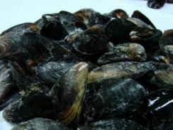 Chilean mussel 200-300